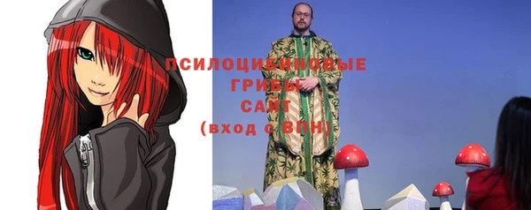 молекула духа Мегион