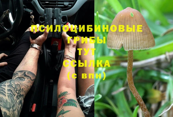 молекула духа Мегион