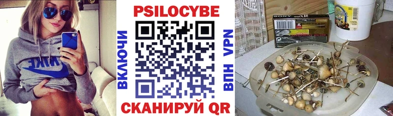 Псилоцибиновые грибы мицелий  что такое   Перевоз 